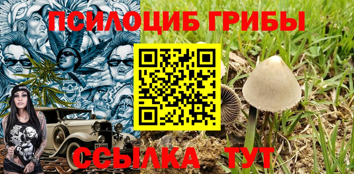 Печора  Псилоцибиновые грибы ЛСД  Галлюциногенные грибы Psilocybine cubensis  Вход с VPN 