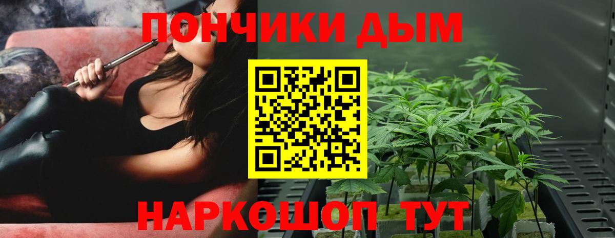 Канабис Bruce Banner  Вход с VPN  Печора  Бошки марихуана планчик  Бошки Шишки марихуана 